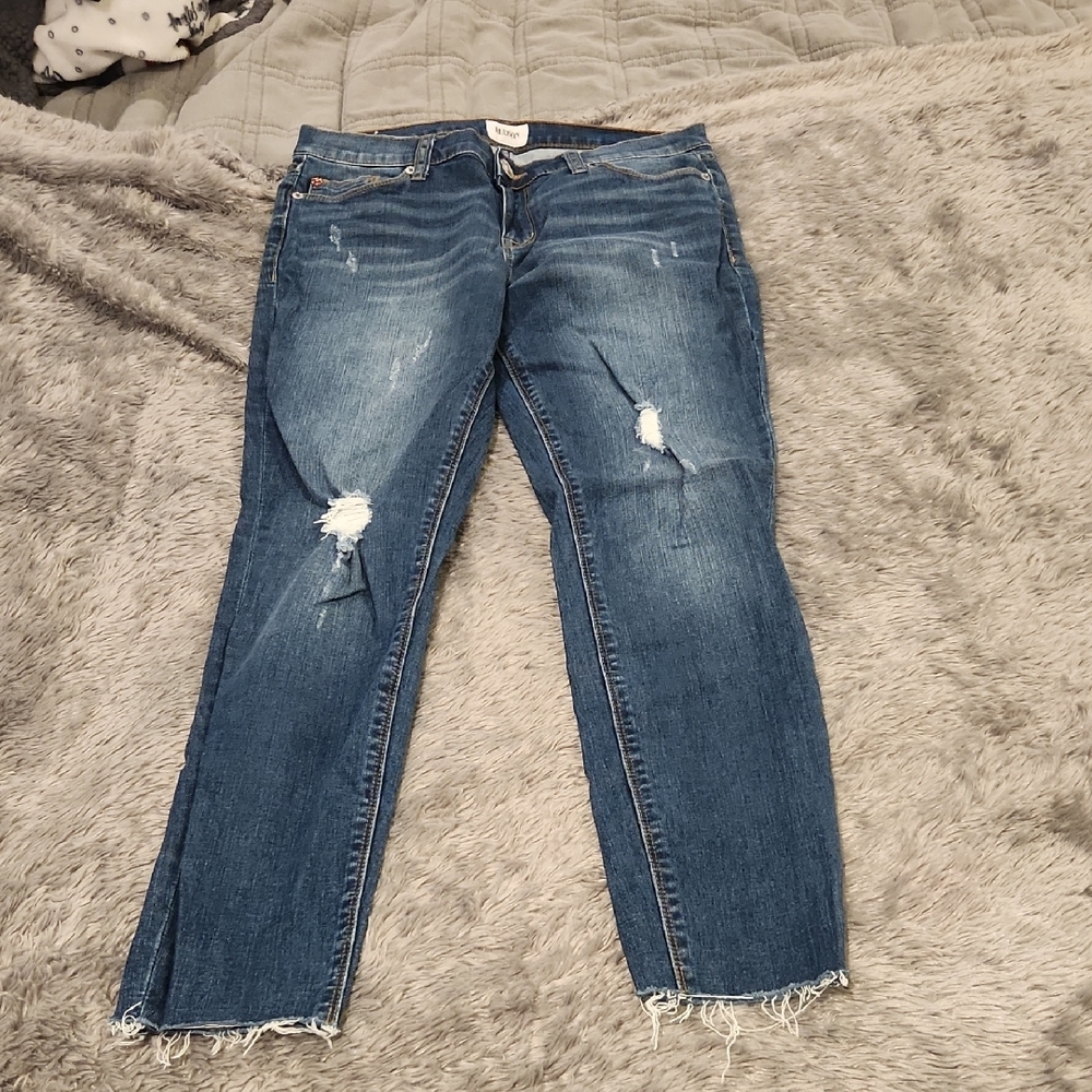 Hudson Jeans Women's Distressed Blue Skinny Jeans Size 29!